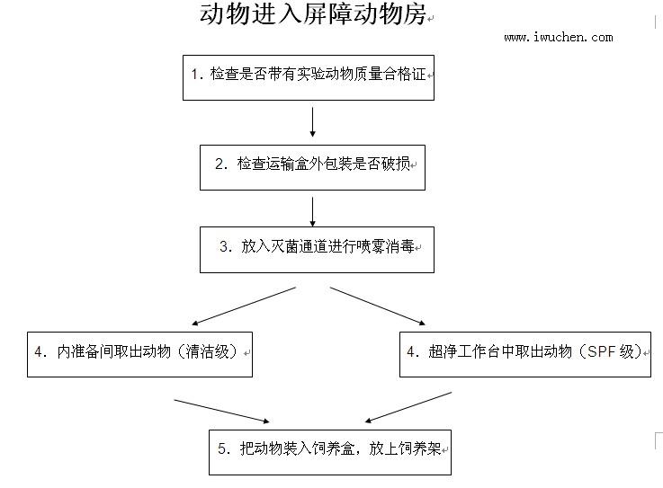 動(dòng)物進(jìn)入屏障動(dòng)物房 動(dòng)物進(jìn)入屏障動(dòng)物房